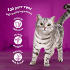 WHISKAS - 1+- Adult Wet Cat Food Pouches - 40 x 85 g - Fish in Jelly - Bulk Cat Food Megapack - 40 Pouches