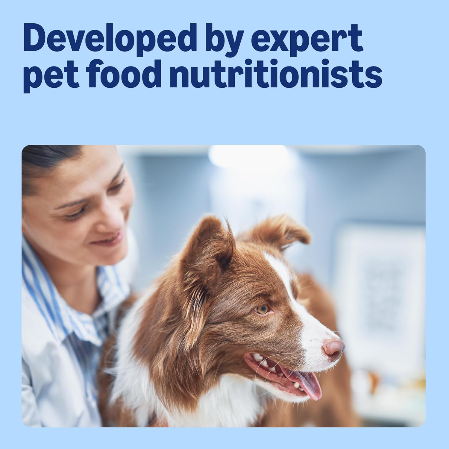 by Amazon Complete Wet Food for Adult Dogs, Meat Selection in Gravy, 4.8 kg (48 pouches of 100g)