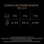 Sheba Fine Flakes in Jelly – Fish Collection – Wet cat food pouches for adult cats – 40x85g pack