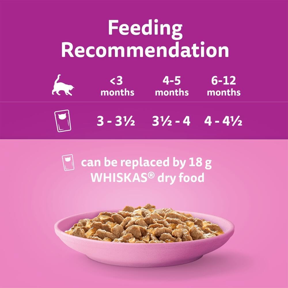 whiskas Junior Poultry Selection in Jelly 84 Pouches, Wet Kitten and Cat Food, Selection of Chicken, Duck, Poultry and Turkey, Megapack (84 x 85 g)