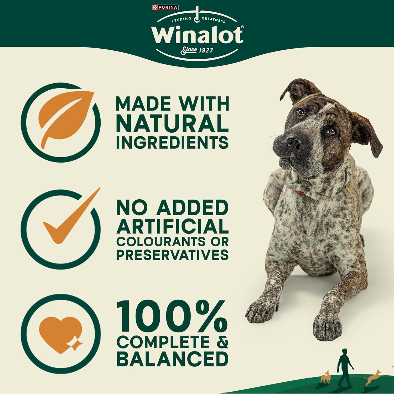 WINALOT Meaty Chunks Mixed in Gravy Wet Dog Food Pouches 40x100g