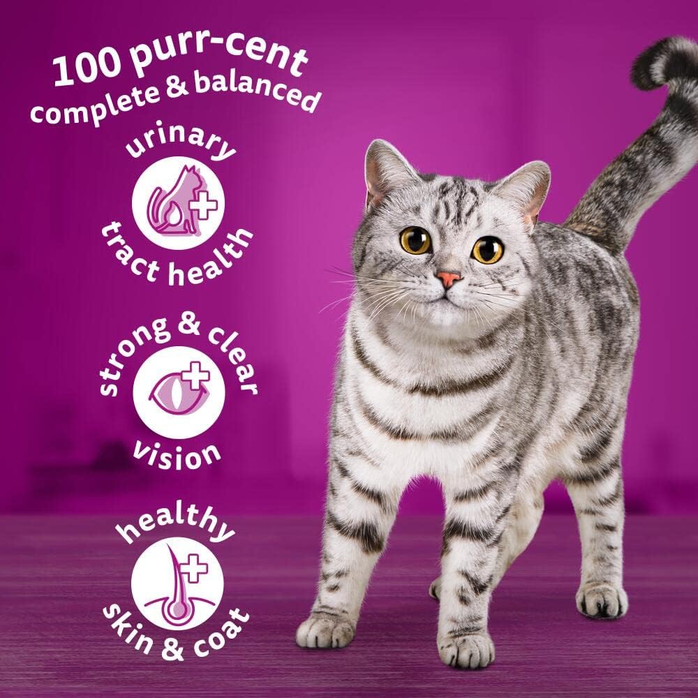 WHISKAS - 1+ Adult Dry Cat Food - 7kg - Biscuits Made with Chicken - Bulk Cat Food Bag