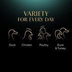 Sheba Fine Flakes in Jelly – Poultry Collection – Wet cat food pouches for adult cats – 40x85g pack