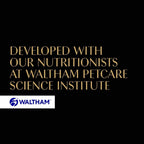 Sheba Fine Flakes in Jelly – Poultry Collection – Wet cat food pouches for adult cats – 40x85g pack