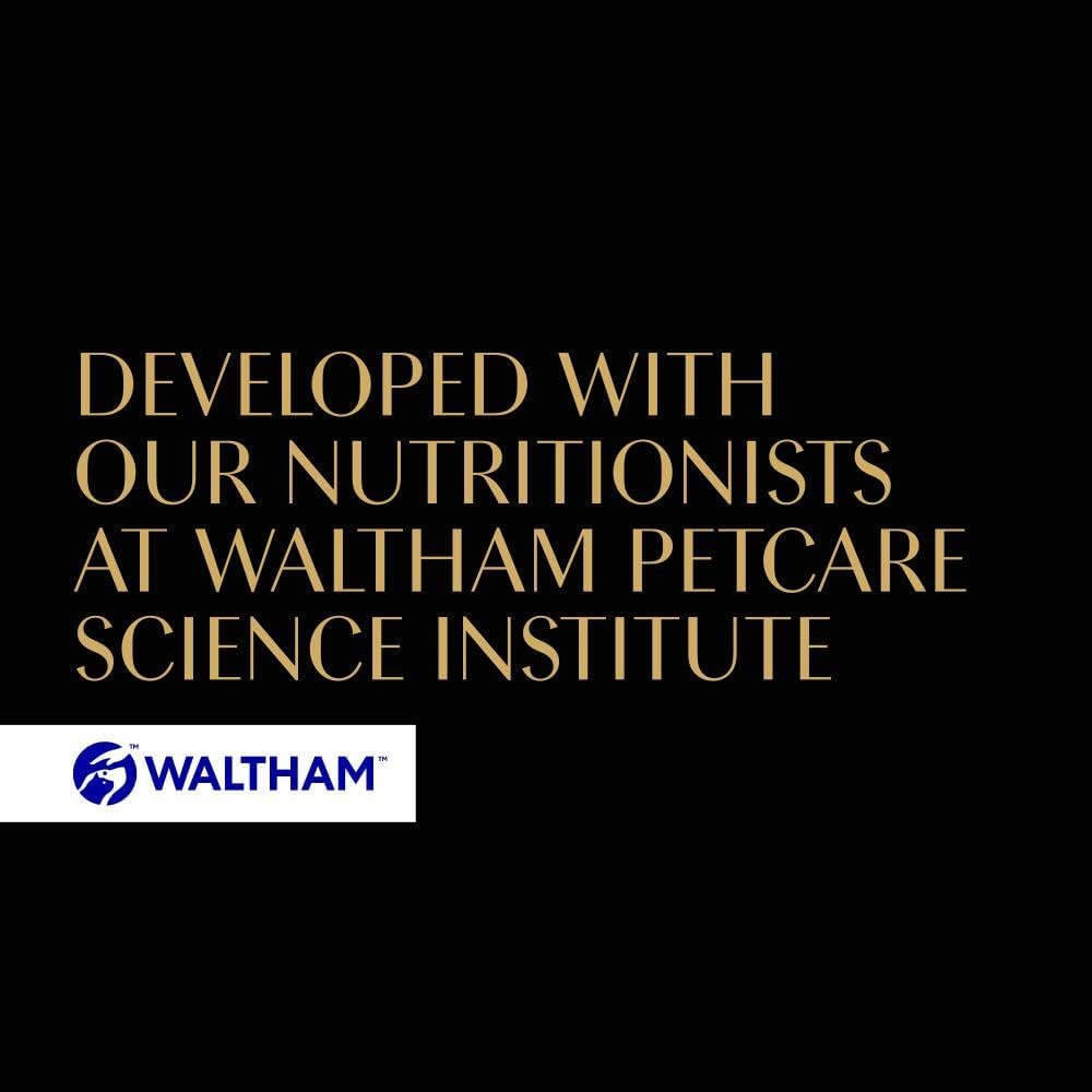 Sheba Fine Flakes in Jelly – Poultry Collection – Wet cat food pouches for adult cats – 40x85g pack