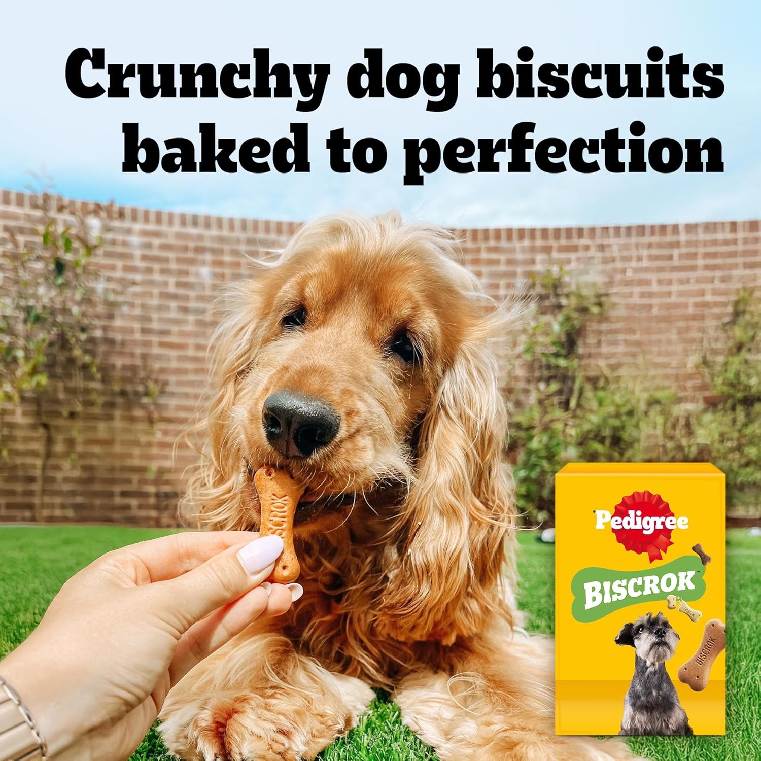 Pedigree Biscrok Multi Mix - Dog Treats - Bone-Shaped Biscuits - 500 g