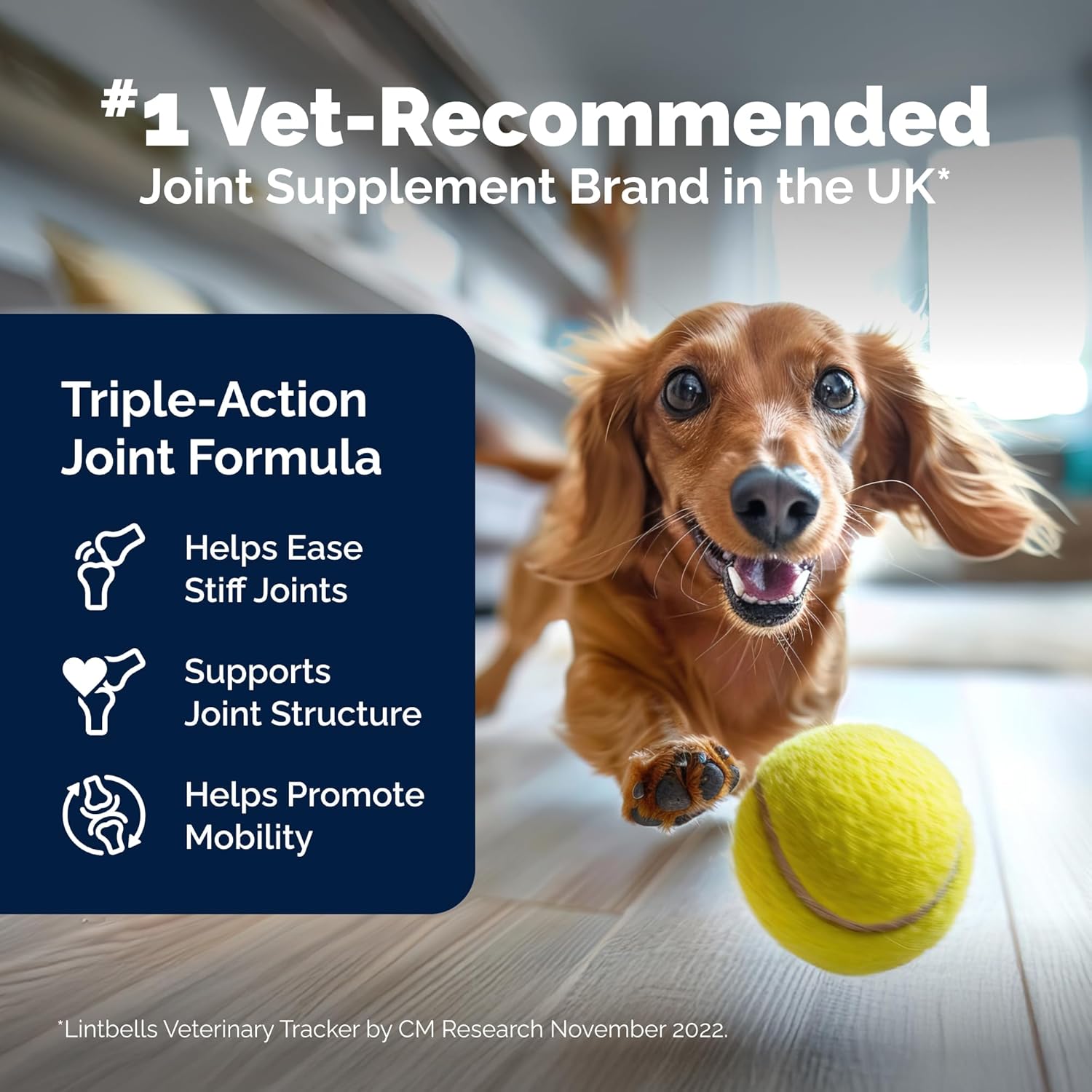 YuMOVE Joint Supplement for Dogs, Essential Dog Hip and Joint Support for Adult Dogs with Glucosamine, Chondroitin, Green Lipped Mussel, Aged 6 to 8, 120 Tablets