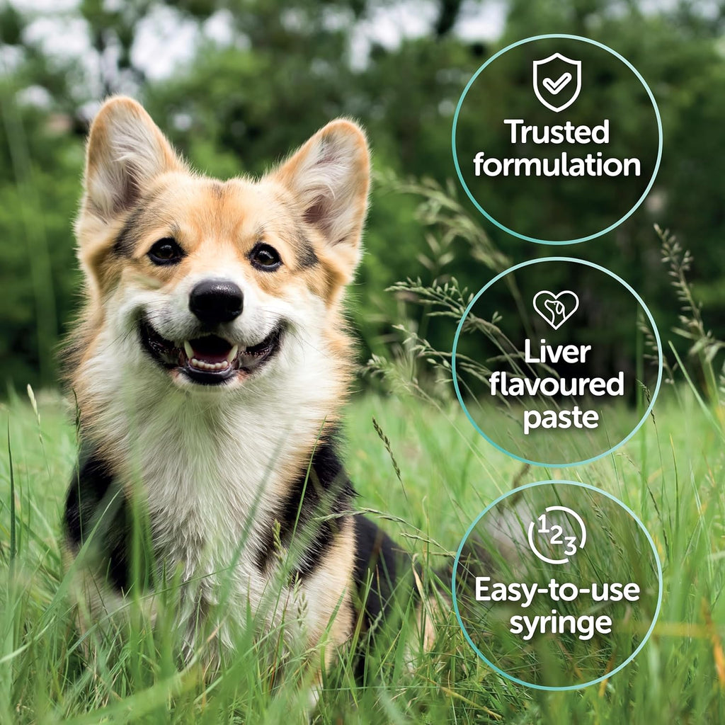 Protexin Veterinary Pro-Kolin Advanced for Dogs Advanced for Dogs, 60 ml