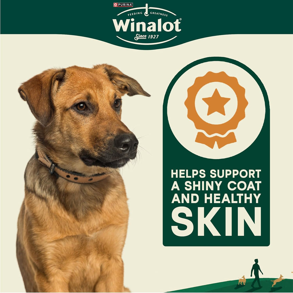 WINALOT Meaty Chunks Mixed in Gravy Wet Dog Food Pouches 40x100g
