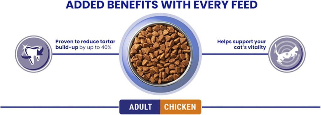 PURINA ONE Chicken Dry Cat Food 6kg