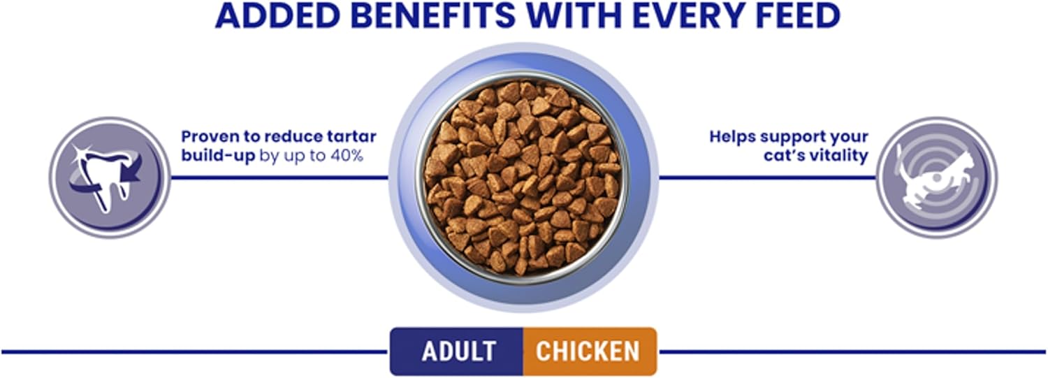 PURINA ONE Chicken Dry Cat Food 6kg