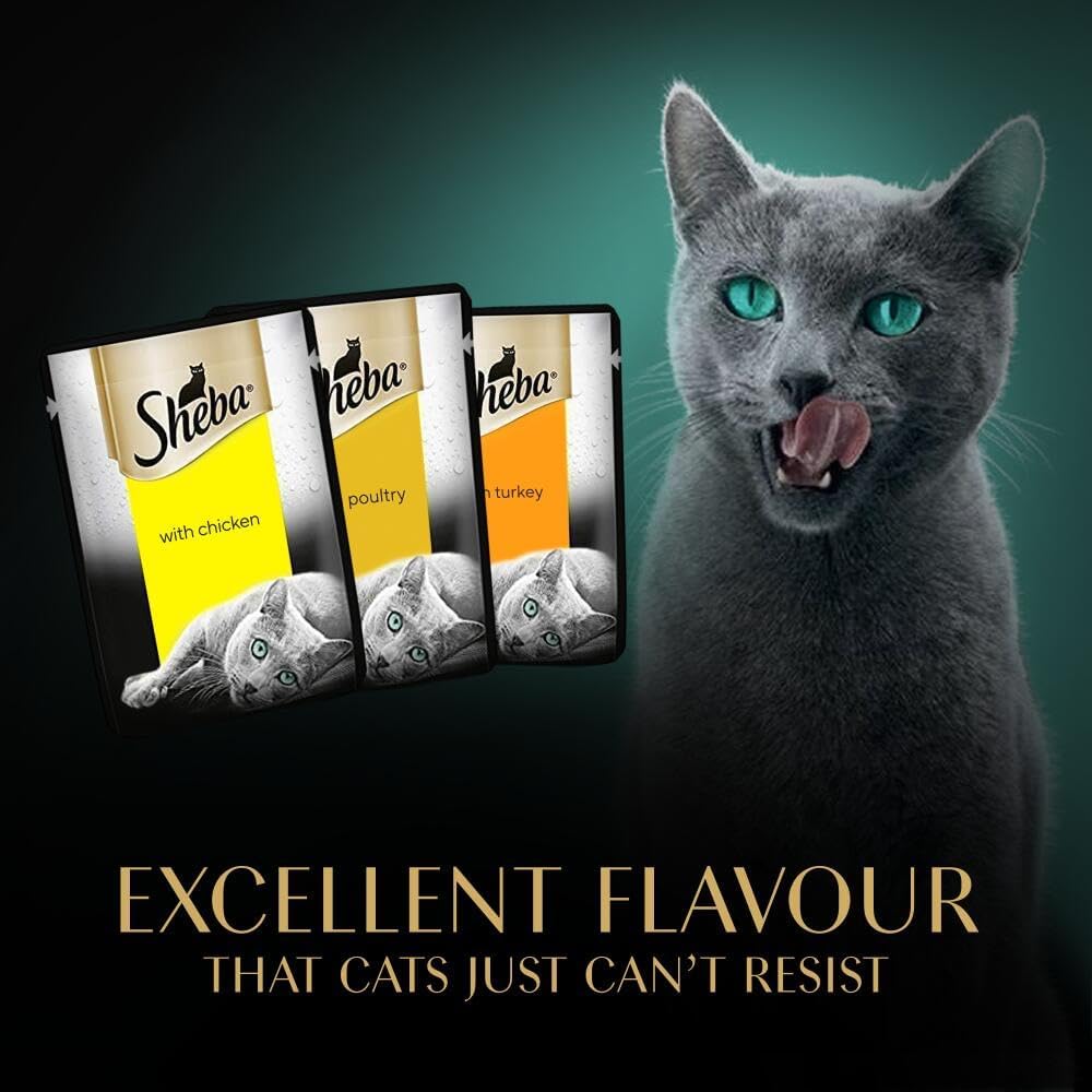 Sheba Cat Wet Food - Fresh and Fine - Cat Pouches Poultry in Gravy - 50 x 50 g Pack