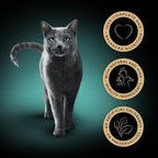 Sheba Fine Flakes in Jelly – Poultry Collection – Wet cat food pouches for adult cats – 40x85g pack