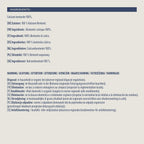 by Amazon Extra White Ultra Clumping Cat Litter 10L