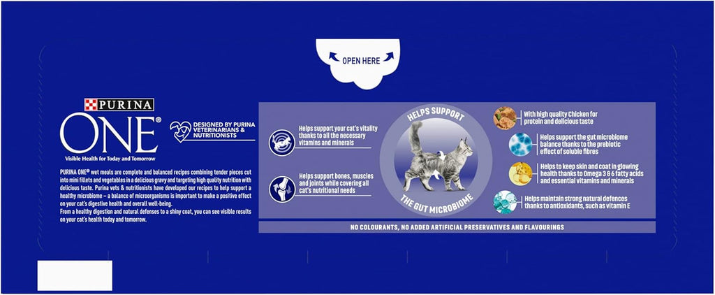 PURINA ONE Adult Cat Food Mini Fillets in Gravy 40 x 85g