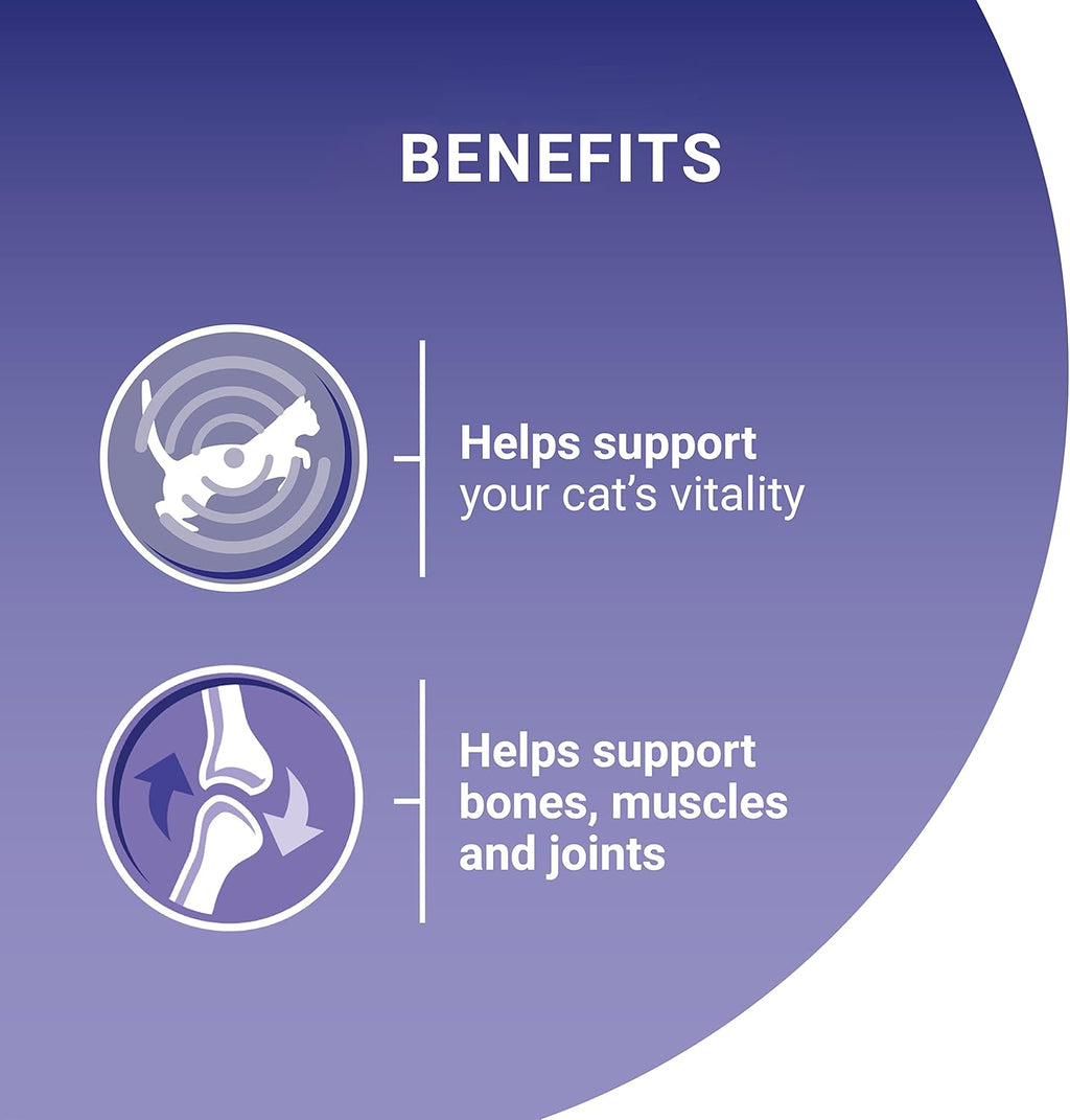 PURINA ONE Adult Cat Food Mini Fillets in Gravy 40 x 85g