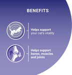 PURINA ONE Adult Cat Food Mini Fillets in Gravy 40 x 85g