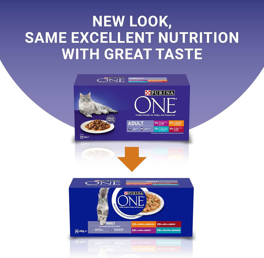 PURINA ONE Adult Cat Food Mini Fillets in Gravy 40 x 85g