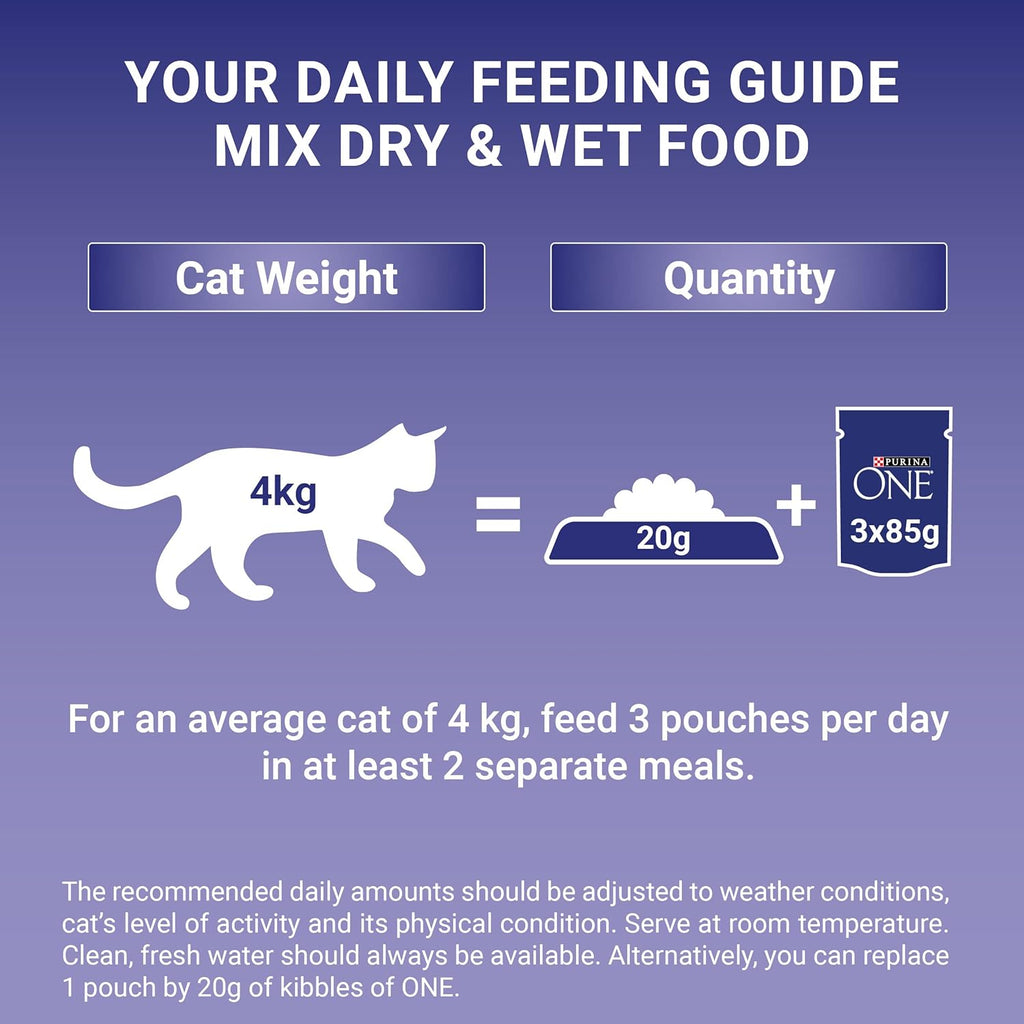 PURINA ONE Adult Cat Food Mini Fillets in Gravy 40 x 85g