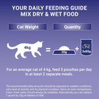 PURINA ONE Adult Cat Food Mini Fillets in Gravy 40 x 85g