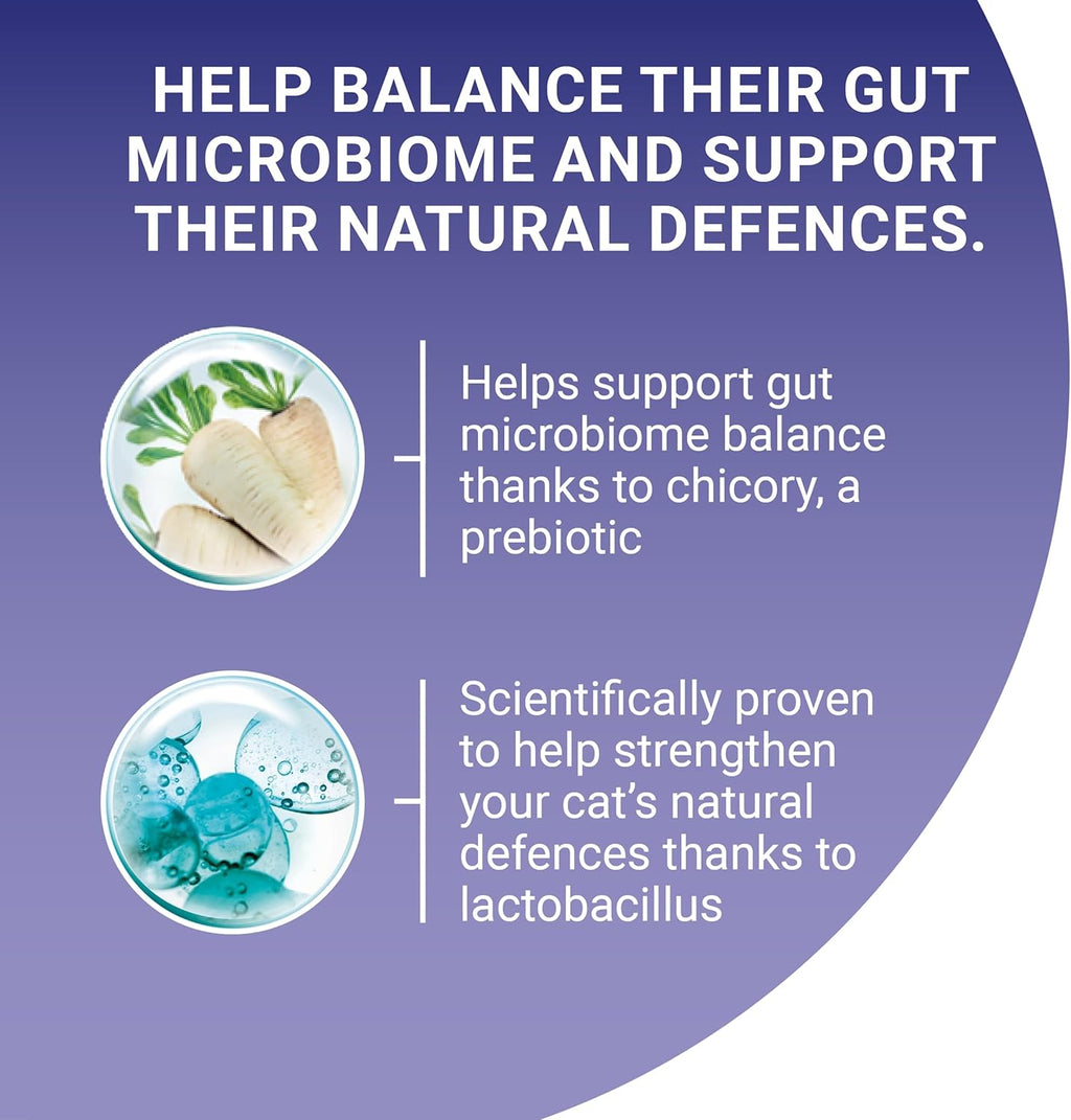 PURINA ONE Chicken Dry Cat Food 6kg