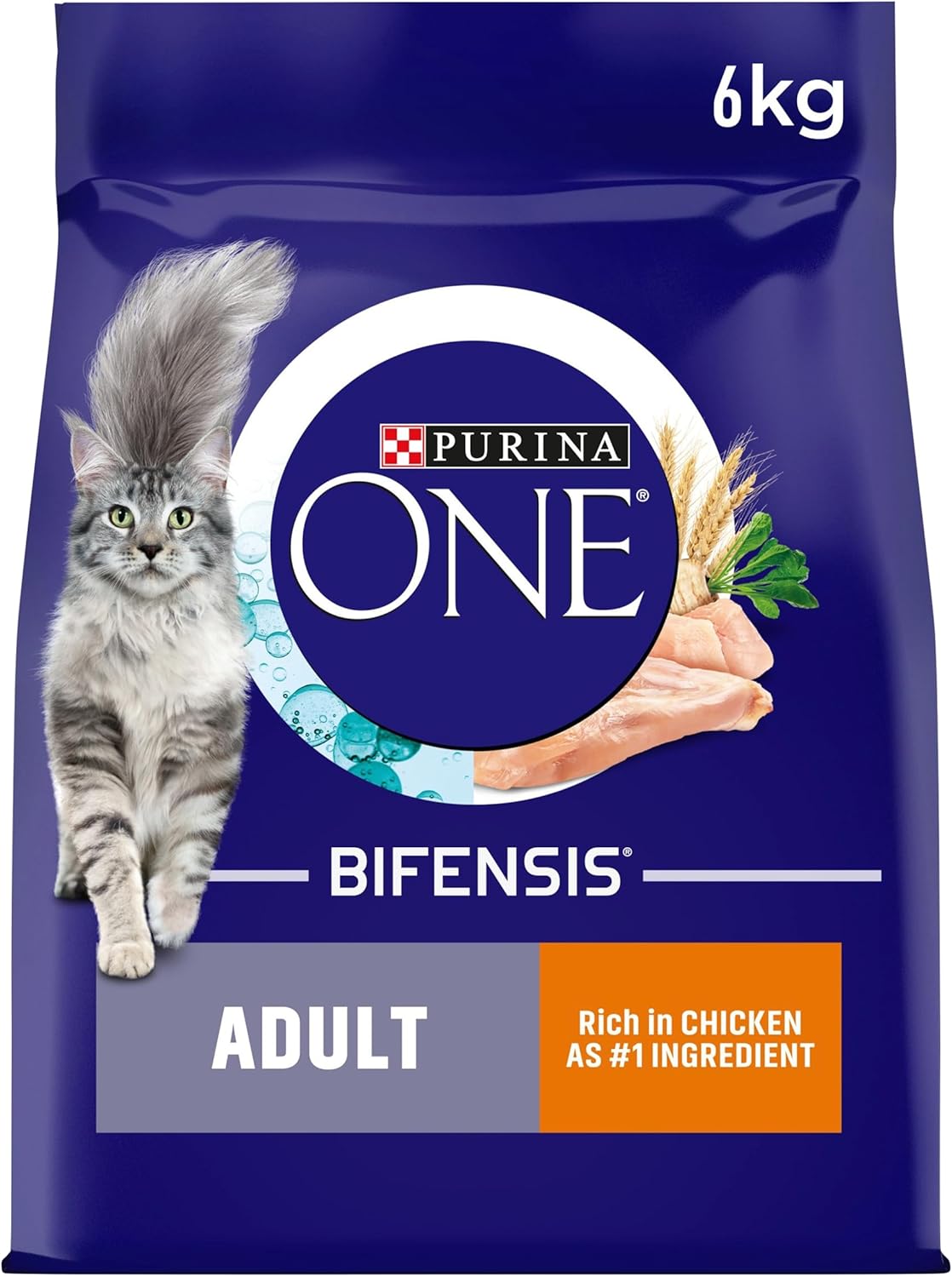PURINA ONE Chicken Dry Cat Food 6kg