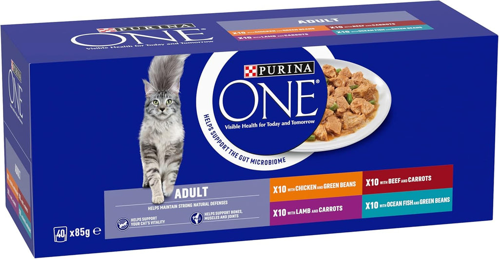 PURINA ONE Adult Cat Food Mini Fillets in Gravy 40 x 85g