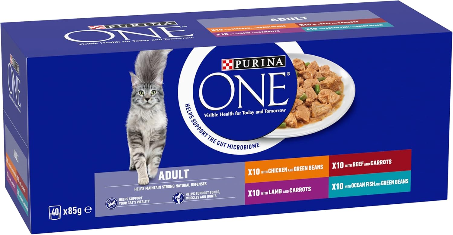 PURINA ONE Adult Cat Food Mini Fillets in Gravy 40 x 85g