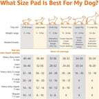 Amazon Basics Dog and Puppy Training Pads, Leakproof, 5-Layer Design with Quick-Dry Surface, Regular, Pack of 50, Blue