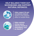 PURINA ONE Adult Cat Food Mini Fillets in Gravy 40 x 85g