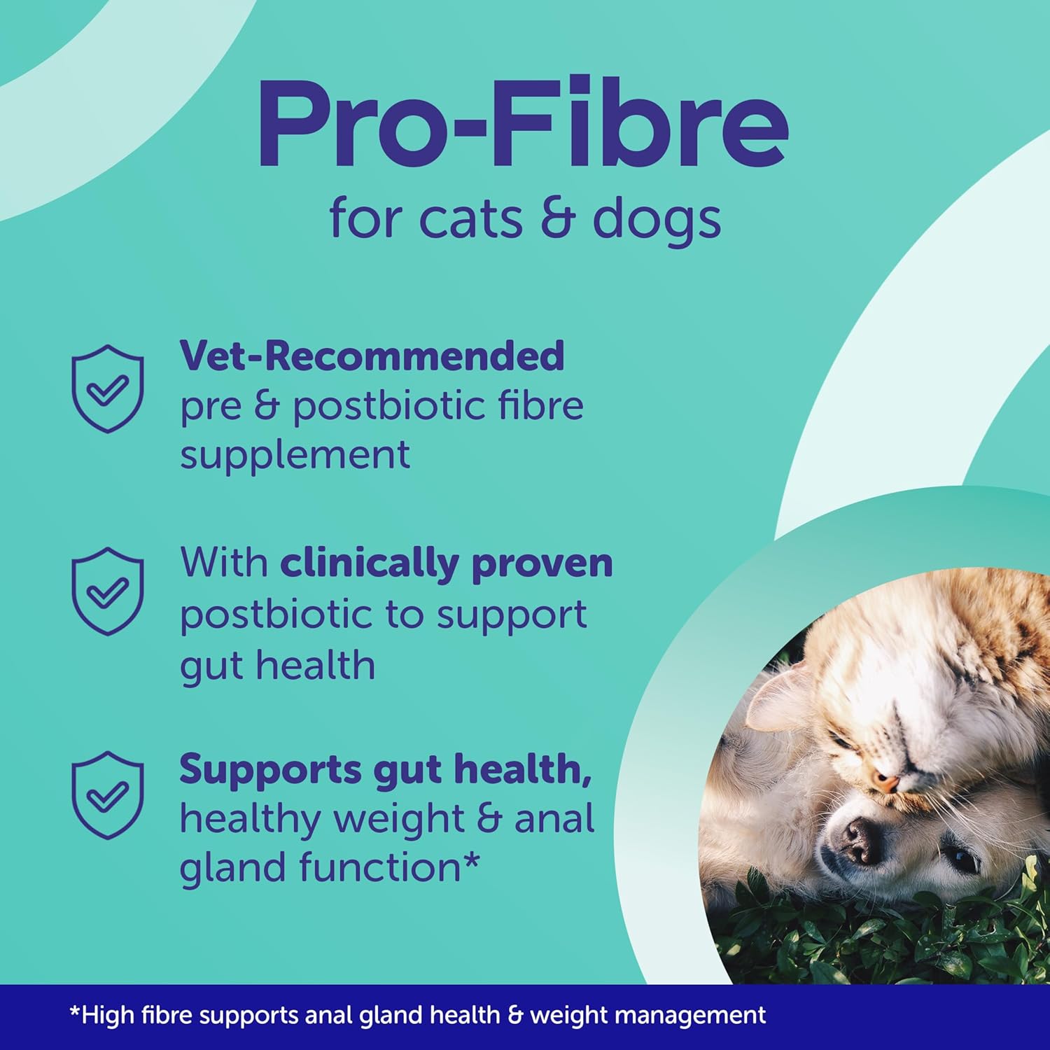 Protexin Pro-Fibre for Dogs, High-Fibre Digestive Supplement with Prebiotics & Postbiotics, Fibre for Dogs to Support Gut Health, Immune , Anal Glands & Stool Support, Protexin Dog Supplement, 500g