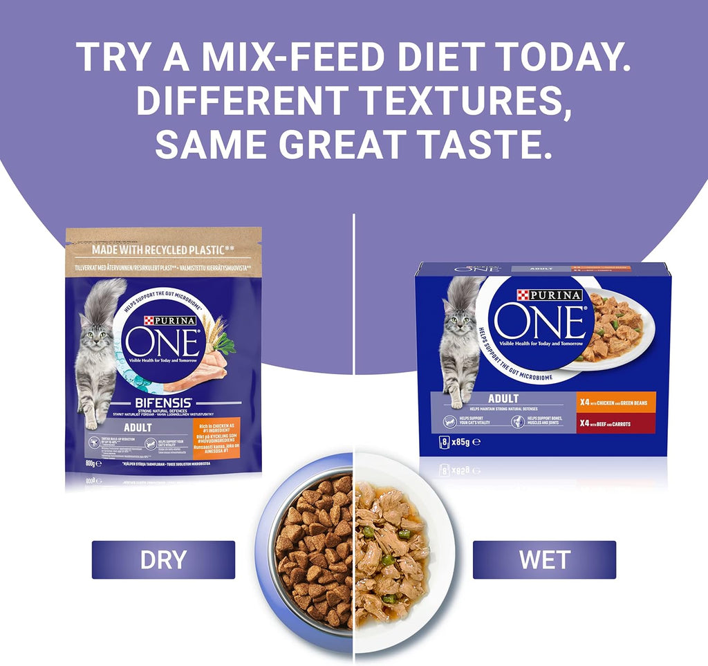 PURINA ONE Adult Cat Food Mini Fillets in Gravy 40 x 85g