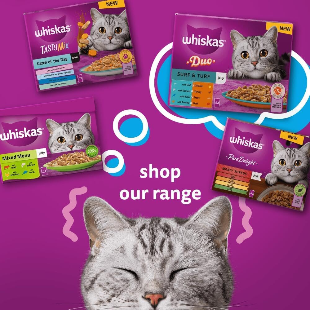 WHISKAS - 1+- Adult Wet Cat Food Pouches - 40 x 85 g - Fish in Jelly - Bulk Cat Food Megapack - 40 Pouches