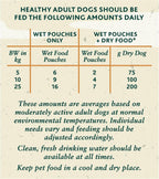 WINALOT Meaty Chunks Mixed in Gravy Wet Dog Food Pouches 40x100g
