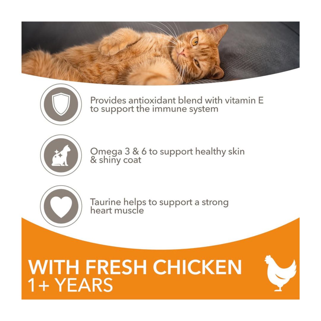 IAMS Adult Complete Dry Cat Food Chicken 3kg - Supports Strong Immune System